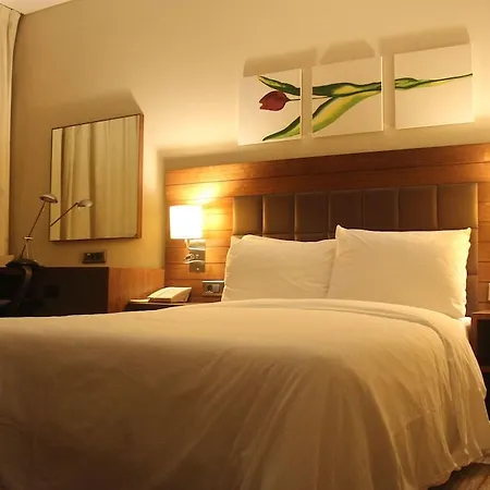 Hilton Garden 4*