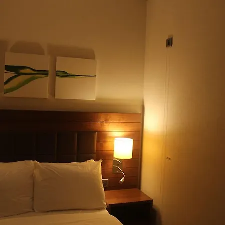 Hotel Hilton Garden Kütahya
