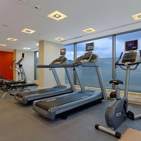 هيلتون جاردن إن