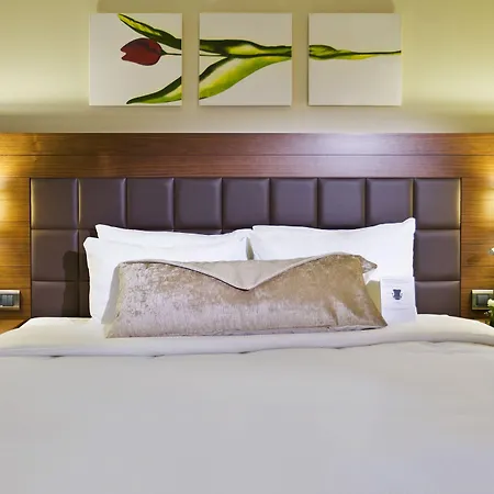 Otel Hilton Garden Kütahya