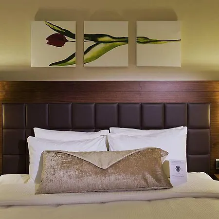 Hilton Garden 호텔