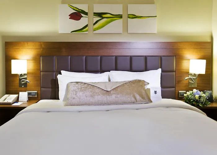 Hotel Hilton Garden Kutahya